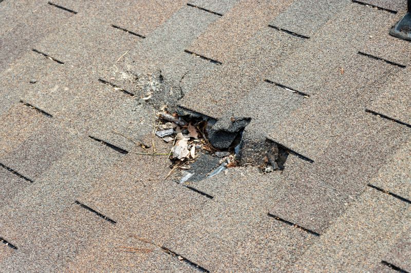 Shingles Replacement in Alexandria, VA